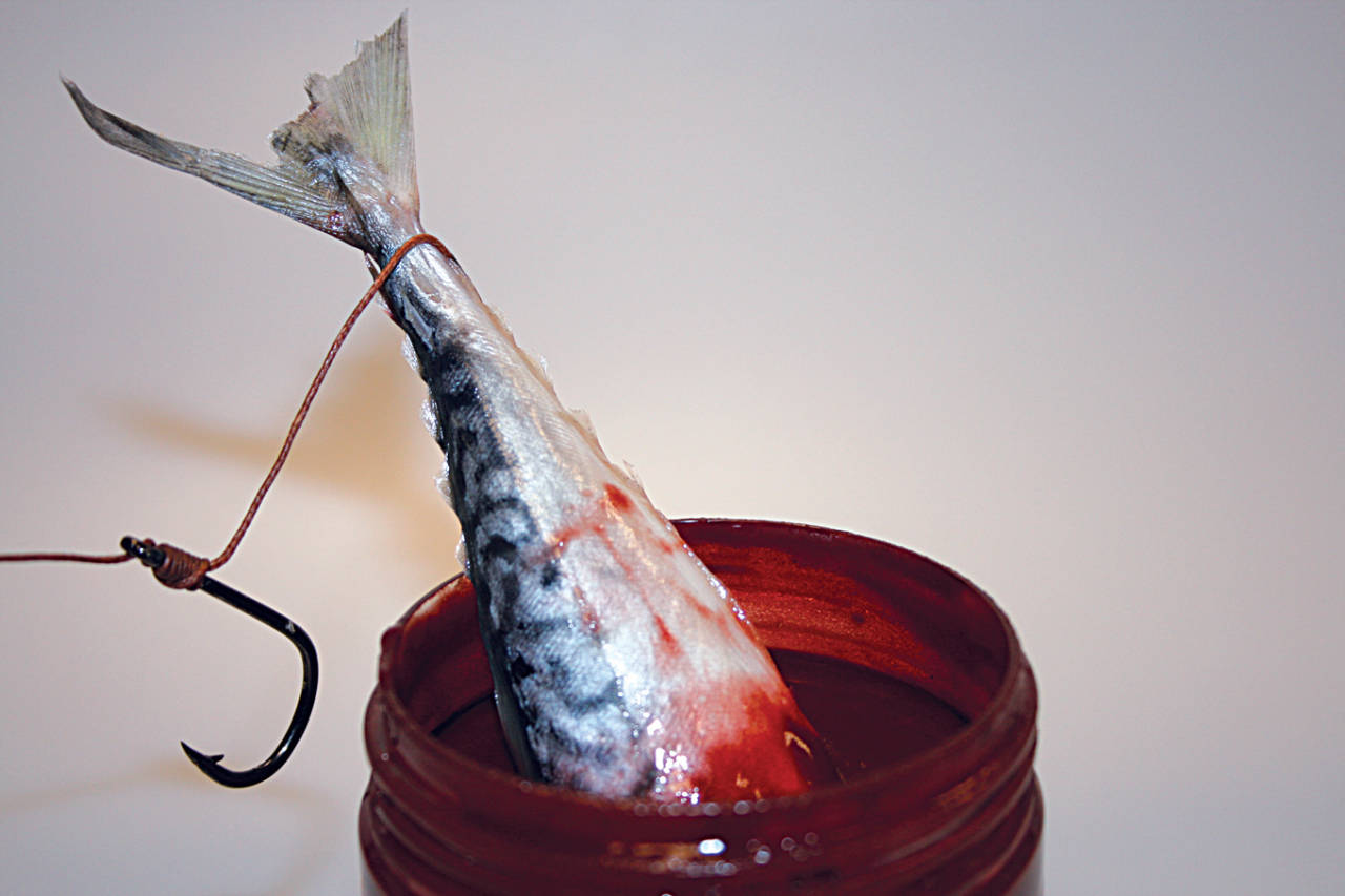 Dynamite Baits Bloodied Eel Catfish Hookbait Dip