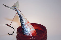 Dynamite Baits Bloodied Eel Catfish Hookbait Dip