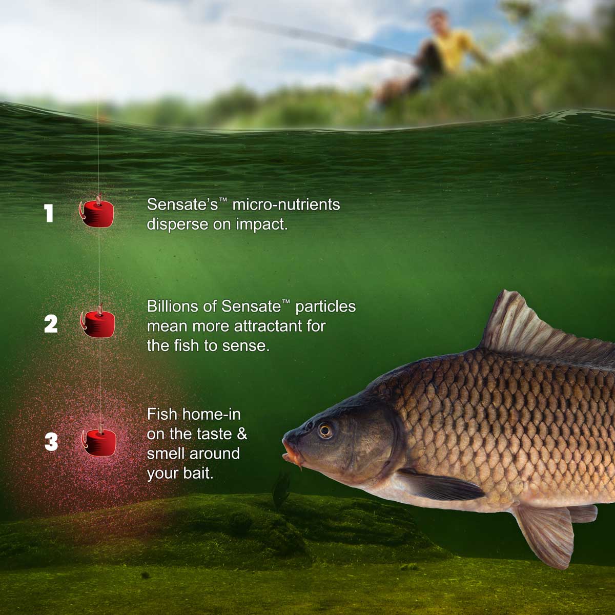 Fjuka Sensate Fish Accelerant Bait Dye