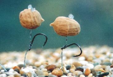 Enterprise Tackle Popup Tiger nuts