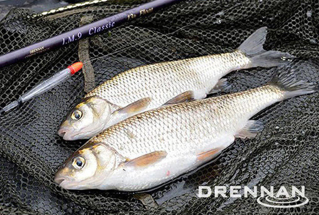 Drennan Loafers