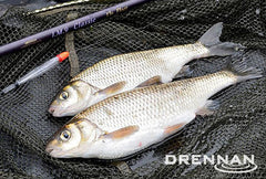 Drennan Loafers