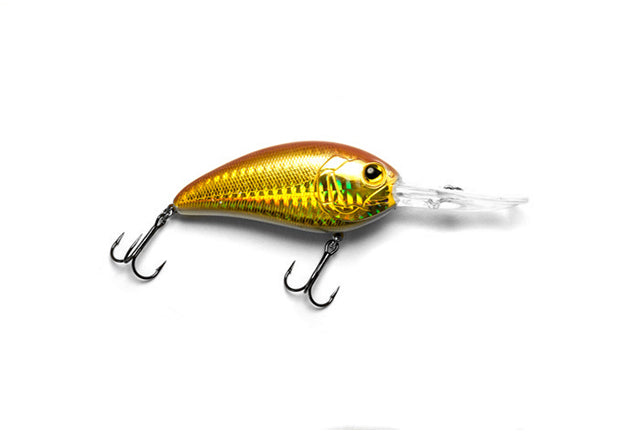 E-Sox Drongo