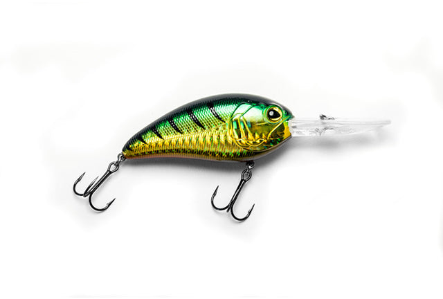 E-Sox Drongo