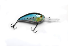 E-Sox Drongo