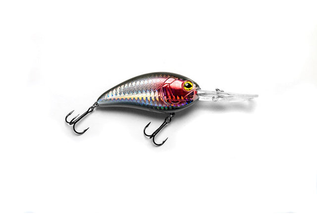 E-Sox Drongo