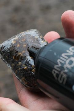 DNA Baits AMINO SMOKE – THE BUG