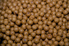 Dynamite Baits MONSTER TIGERNUT Shelf Life Boilies